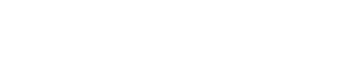 Lions Behavior